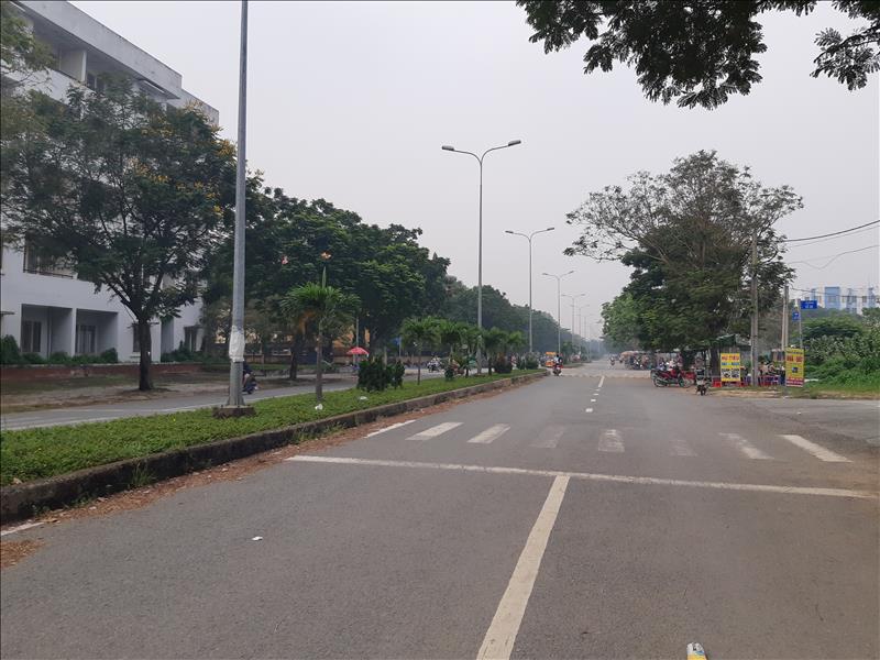 Cần bán đất đường Pháo Binh, Thanh Phước, Gò Dầu, Tây Ninh