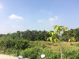 siêu phẩm đất sào trảng bom đồng nai 1,34 tỷ, u1, Xã Thanh Bình