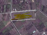 Cần bán đất ĐẸP đối diện cổng KCN Phước Đông 780 triệu, ĐT.782, Xã Bàu Đồn, Xã Bàu Đồn